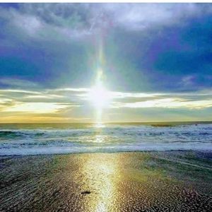 Meet your Posher, Suzanne